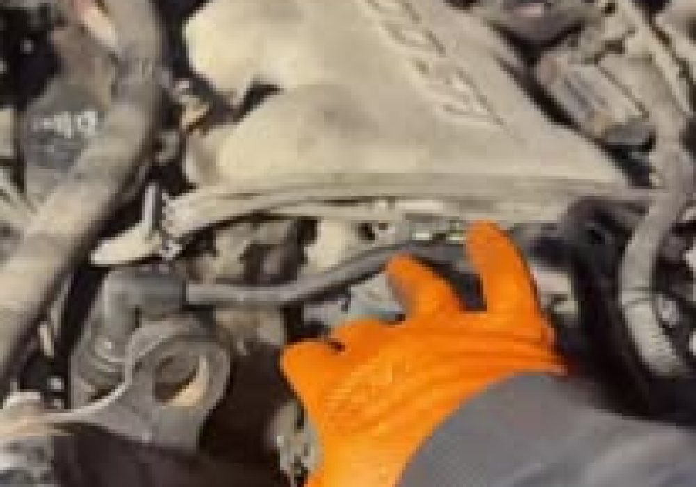 561811622_822820083977994_4199277366246874160_n